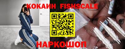 спиды Кимры