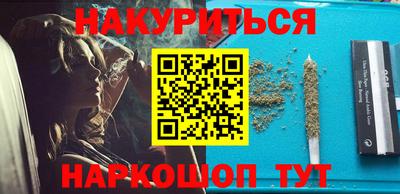 СК Кингисепп