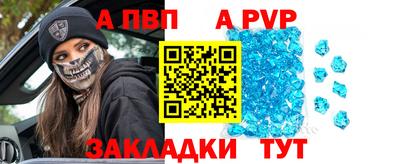 СК Кингисепп