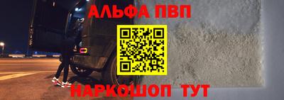 СК Кингисепп