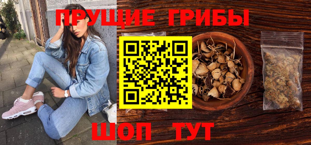 где купить   Галлюциногенные грибы MAGIC MUSHROOMS  Галлюциногенные грибы Magic Shrooms  Вход с VPN  Балашов 